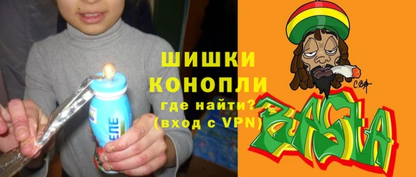 ПСИЛОЦИБИНОВЫЕ ГРИБЫ Горнозаводск