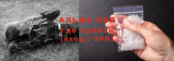 ПСИЛОЦИБИНОВЫЕ ГРИБЫ Горнозаводск
