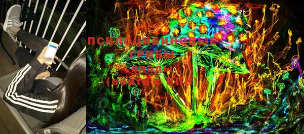 ПСИЛОЦИБИНОВЫЕ ГРИБЫ Горнозаводск