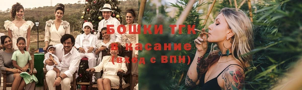 ПСИЛОЦИБИНОВЫЕ ГРИБЫ Горнозаводск