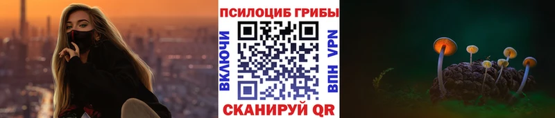 дарк нет какой сайт  ОМГ ОМГ маркетплейс  Брюховецкая  Псилоцибиновые грибы Psilocybine cubensis 