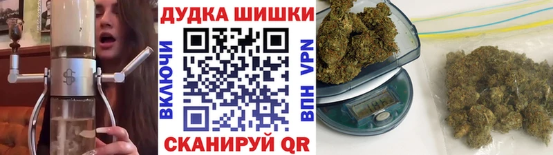 Бошки Шишки план  Брюховецкая 